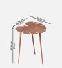 Cosmo Aluminium Leaf End Table in Copper Finish Set of 2