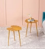 Cosmo Aluminium Leaf End Table in Gold Finish Set of 2