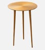 Cosmo Aluminium Rings End Table in Gold Finish Set of 2