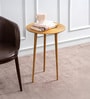Cosmo Aluminium Rings End Table in Gold Finish Set of 2