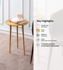 Cosmo Aluminium Rings End Table in Gold Finish Set of 2