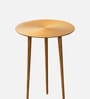 Cosmo Aluminium Rings End Table in Gold Finish Set of 2