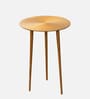 Cosmo Aluminium Rings End Table in Gold Finish Set of 2