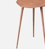 Cosmo Metal End Tables in Copper Color