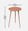 Cosmo Metal End Tables in Copper Color