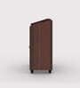 Rowan 2 Door Shoe Cabinet In Brown Finish