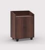 Rowan 2 Door Shoe Cabinet In Brown Finish