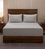 Grey Solid 400 TC Cotton 1 Double King Size Bedsheet with 2 Pillow Covers