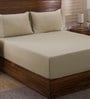 Brown Solid 400 TC Cotton 1 Double King Size Bedsheet with 2 Pillow Covers