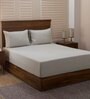 Grey Solid 400 TC Cotton 1 Double King Size Bedsheet with 2 Pillow Covers