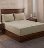 Brown Solid 400 TC Cotton 1 Double King Size Bedsheet with 2 Pillow Covers