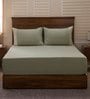 Green Solid 400 TC Cotton King Sized Bed Sheets with 2 Pillow Covers