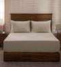 Brown Solid 400 TC Cotton 1 Double King Size Bedsheet with 2 Pillow Covers
