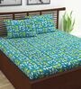 Blue Floral 144 TC 100% Cotton Queen Sized Bed Sheets with 2 Pillow Covers