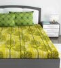 Yellow Floral 140 TC Cotton Queen Sized Bed Sheets with 2 Pillow Covers