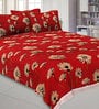 Red Floral 200 TC Cotton 1 Double King Size Bedsheet with 2 Pillow Covers