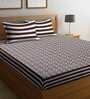 Brown Traditional 144 TC Cotton 1 Double King Size Bedsheet with 2 Pillow Covers