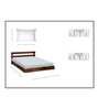 Off White Floral 144 TC Cotton Blend King Sized Bed Sheets with 2 Pillow Covers