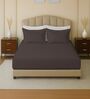 Brown 144 TC Cotton King Sized Double Bedsheet With 2 Pillow Covers