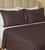 Brown 144 TC Cotton King Sized Double Bedsheet With 2 Pillow Covers