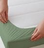 Green 144 TC Cotton King Sized Double Bedsheet With 2 Pillow Covers