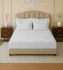 White 144 TC Cotton King Sized Double Bedsheet With 2 Pillow Covers