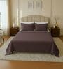 Brown 144 TC Cotton King Sized Double Bedsheet With 2 Pillow Covers