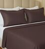 Brown 144 TC Cotton King Sized Double Bedsheet With 2 Pillow Covers