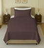 Brown 144 TC Cotton Queen Sized Double Bedsheet With 2 Pillow Covers