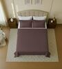 Brown 144 TC Cotton Queen Sized Double Bedsheet With 2 Pillow Covers