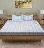 Blue Traditional 210 TC Cotton 1 Double Bedsheet with 2 Pillow Covers