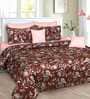 Cotton 250 TC Floral Super King Size Bedsheet in Brown with 2 Pillow Covers