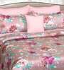 Cotton 250 TC Floral Super King Size Bedsheet in Pink with 2 Pillow Covers