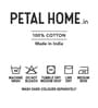 Cream Solid Cotton 4 Pieces Double Bedding Set