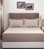 Brown Solid 400 TC Cotton 1 Double King Size Bedsheet with 2 Pillow Covers