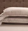 Brown Solid 400 TC Cotton 1 Double King Size Bedsheet with 2 Pillow Covers