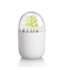 Cotton Bud Holder