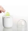 Cotton Bud Holder