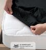Black 400 TC Cotton Satin Fitted Bedsheet with 2 Pillow Covers