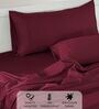 Cotton Satin Fitted Bedsheet, 60 x 78 inches, 400 Thread Count, Burgundy, Set of 1 Bedsheet with 2 Pillow Covers