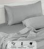 Cotton Satin Fitted Bedsheet, 60 x 78 inches, 400 Thread Count, Silver, Set of 1 Bedsheet with 2 Pillow Covers