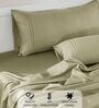 Cotton Satin Fitted Bedsheet, 60 x 78 inches, 400 Thread Count, Taupe, Set of 1 Bedsheet with 2 Pillow Covers