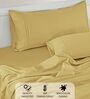 Cotton Satin Fitted Bedsheet, 72 x 78 inches, 400 Thread Count, Gold, Set of 1 Bedsheet with 2 Pillow Covers