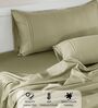Cotton Satin Fitted Bedsheet, 72 x 78 inches, 400 Thread Count, Taupe, Set of 1 Bedsheet with 2 Pillow Covers