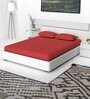 Cotton Solid Plain 400 TC Tomato Super King Bedsheet And 2 Pillow Cover Essential Series