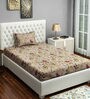 Beige Floral 250 TC Cotton 1 Single Bedhseet with 1 Pillow Cover