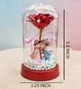 Couple Idols Showpiece Elegant Rose with Glass Dome