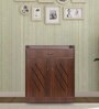 Courtly Shoe Cabinet in Brown Finish