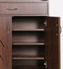 Courtly Shoe Cabinet in Brown Finish