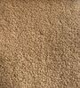 Cozy Chic Boucle 1 Seater Sofa In Mustard Colour